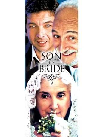 Son of the Bride 2001