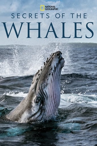 دانلود سریال Secrets of the Whales 2021 (اسرار نهنگ ها) دوبله فارسی بدون سانسور