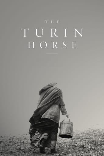 The Turin Horse 2011 (اسبی از تورین)
