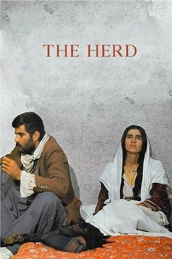 The Herd 1978