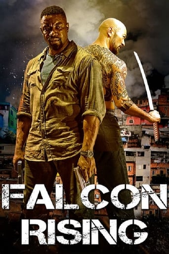 Falcon Rising 2014 (فالکون برمیخیزد)