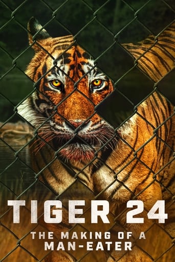 دانلود فیلم Tiger 24 2022 دوبله فارسی بدون سانسور
