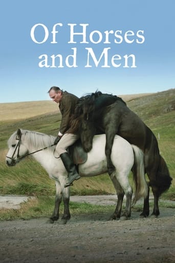 Of Horses and Men 2013