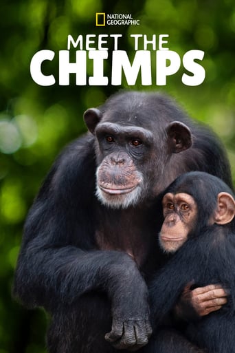 دانلود سریال Meet the Chimps 2020 (دیدار با شامپانزه ها) دوبله فارسی بدون سانسور