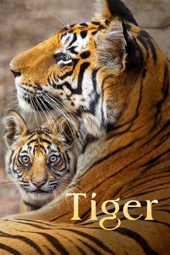 دانلود فیلم Tiger 2024 دوبله فارسی بدون سانسور