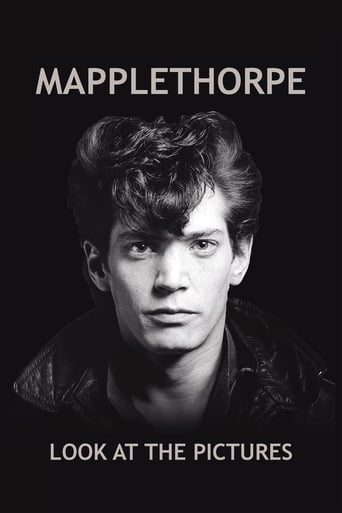 Mapplethorpe: Look at the Pictures 2016