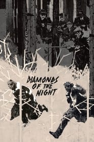 دانلود فیلم Diamonds of the Night 1964 دوبله فارسی بدون سانسور
