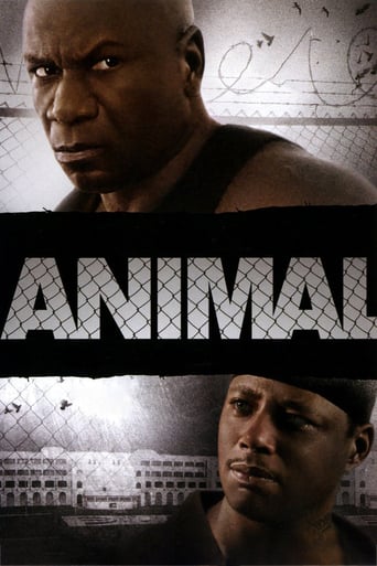 Animal 2005 (حیوان)