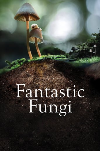 Fantastic Fungi 2019 (قارچ فوق العاده)