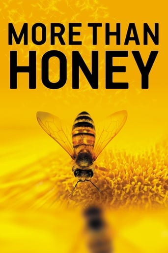 دانلود فیلم More Than Honey 2012 دوبله فارسی بدون سانسور