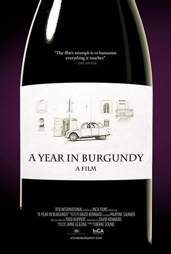 A Year in Burgundy 2013