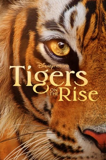 دانلود فیلم Tigers on the Rise 2024 دوبله فارسی بدون سانسور
