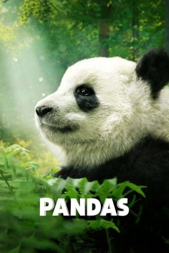 Pandas 2018 (پانداها)