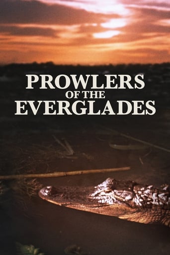 دانلود فیلم Prowlers of the Everglades 1953 دوبله فارسی بدون سانسور