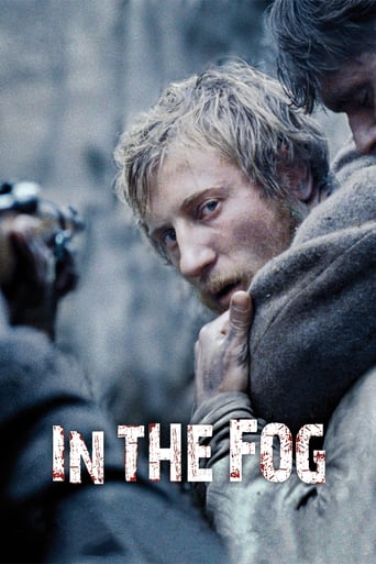 In the Fog 2012 (در مه)
