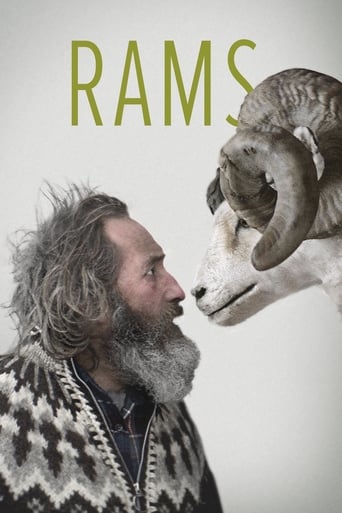 دانلود فیلم Rams 2015 (قوچ‌ها) دوبله فارسی بدون سانسور