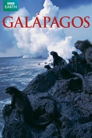 Galapagos 2006