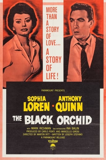 دانلود فیلم The Black Orchid 1958 دوبله فارسی بدون سانسور