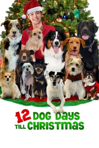 12 Dog Days Till Christmas 2014