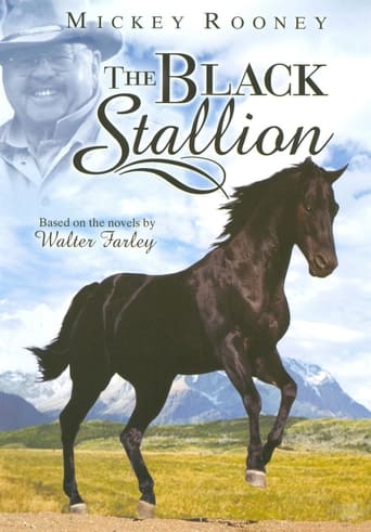 دانلود سریال The Adventures of the Black Stallion 1990 دوبله فارسی بدون سانسور