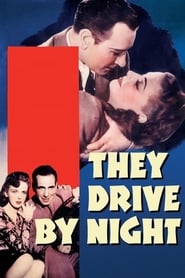 دانلود فیلم They Drive by Night 1940 دوبله فارسی بدون سانسور