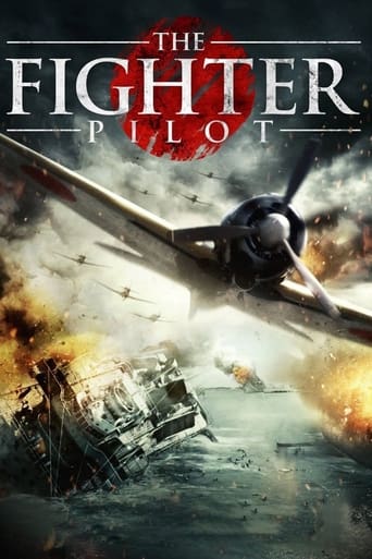 The Fighter Pilot 2013