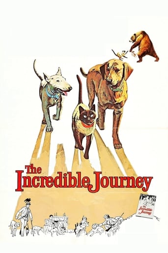 دانلود فیلم The Incredible Journey 1963 دوبله فارسی بدون سانسور