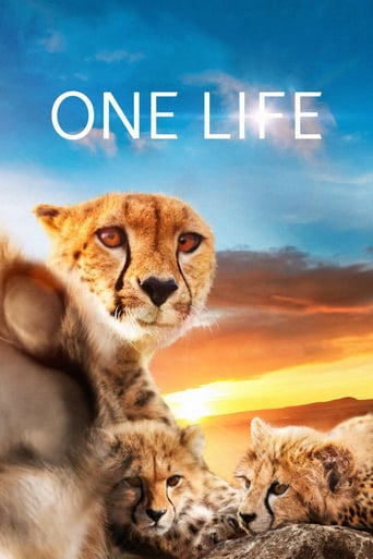 One Life 2011 (یک زندگی)