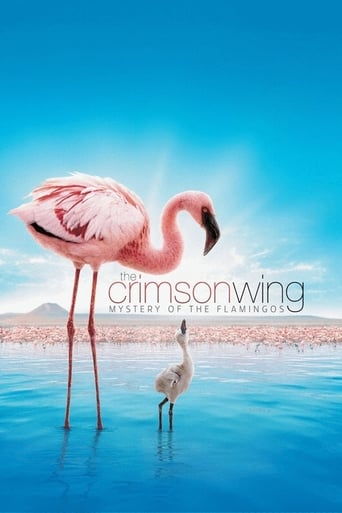 دانلود فیلم The Crimson Wing: Mystery of the Flamingos 2008 دوبله فارسی بدون سانسور